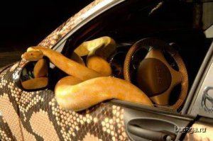 "противоугоночка"