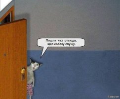 Война с котом, или как мы с Барсиком квартиру не поделили