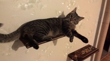 Видимо их родственница.