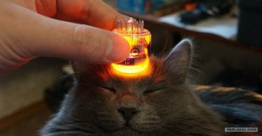 Британец нашел в советском танке Т-54 золотые слитки на $2,5 миллиона