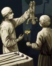 Жизнь маленьких монахов бхакти