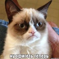 Львицы закатили скандал загулявшему льву