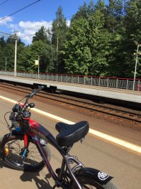 Мой Felt Troy lee. Брал в 2010 году около 1000$.Весит 17 кг,но до чего приятен в вождении.Планетарная втулка shimano nexus 3 стоит.Красота! Самое то для не спешных поездок.