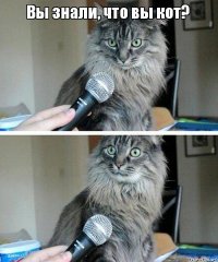 Реакция кота на оптическую иллюзию