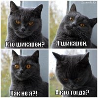 Кошачий бомонд: самые очаровательные мурлыки