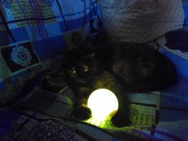 Вредная чёрная задница =)