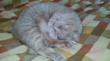 Мой утырок =)