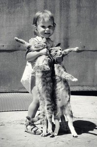 Фотоподборка за 11.04.2017