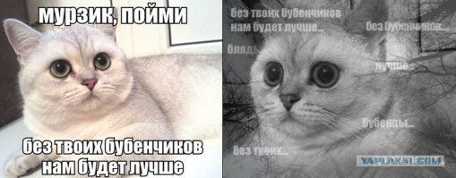 Уже поздно Мурзик... поздно