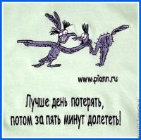 Верблюд и страус устроили гоп-стоп туристам 