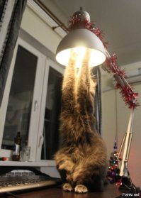 и вот такой