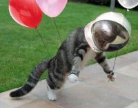 Не будет, не будет полёта последнего - помнят люди твой первый полёт!