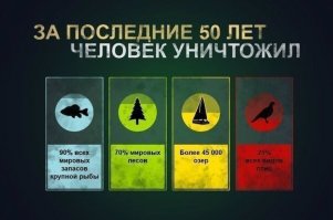 Что за 50 лет уничтожил человек
