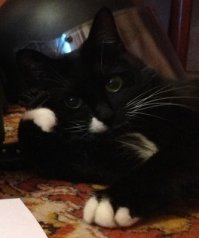 Женщина потеряла ключи от нового Mercedes-Benz и он простоял 20 лет