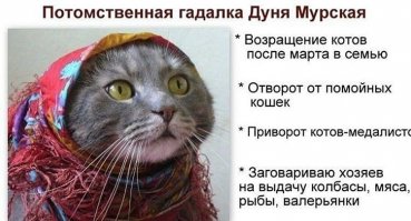 Зря не верите.
Она мне кота в сёмью вернула :)