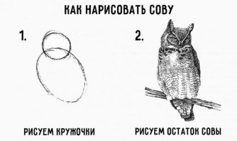 Про сову уже пора??