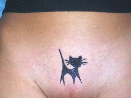 Милые кошачьи татуировки с интереснейшими идеями