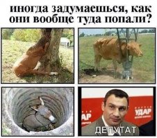 Очень необычные аварии