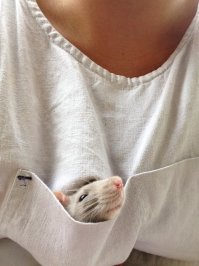 Фотоподборка за 11.04.2017