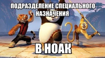 ССО НОАК. В чём особенности китайского спецназа