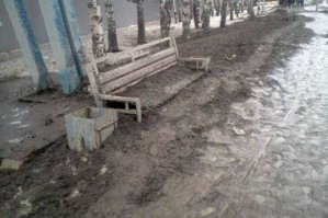 к вопросу о чистых дорогах)