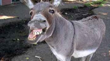 спасибо за заботу, а это тебе на аватар!