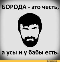 Бриться или не бриться? По 10 аргументов за и против