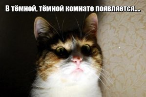 Простые люди, которые  столкнулись со сверхъестественным