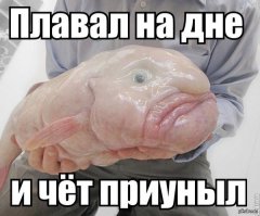 Самые необычные вещи, о которых мы читали в журнале National Geographic