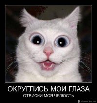 Принц Персии в реальной жизни