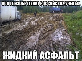 Жители Новосибирска отметили день рождения дорожной ямы
