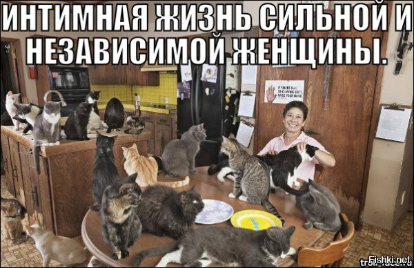 Это просто надо видеть: женщина поселила в своем доме тысячу кошек