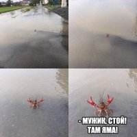 Жители Новосибирска отметили день рождения дорожной ямы