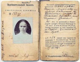 От легализации проституции вообще одни плюсы, меньше вероятность насилия, контроль за здоровьем. В царской России все это было.
