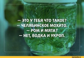 15 способов использования мяты