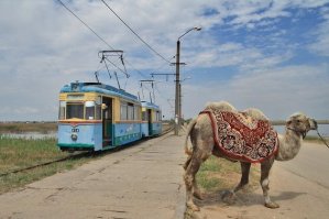 Узкоколейные железные дороги