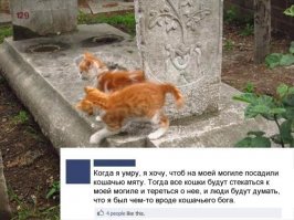 15 способов использования мяты