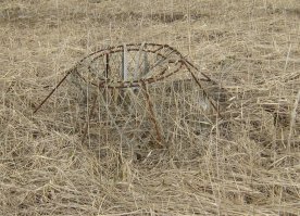 автор описал аттракцион для туристов.
1)есть возможность с туристов взять за доставку (такси)
2 взять за рыбалку.

слишком мелкие как краболовки так и сами крабы.
о размере краба - сами судите, вот моя рука и пальцы. обхватить полностью клешню я не мог