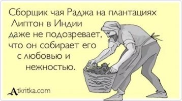 Секреты чаепития: 11 золотых правил Джорджа Оруэлла