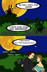 Макросъемка: Удивительный мир насекомых