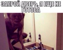А вот вам кроликов пасхальных!