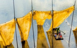 так тож трусы моей тёщи бл...!!!!!!!!!!!