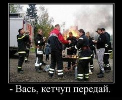 15 фото, которые не оставят вас равнодушными