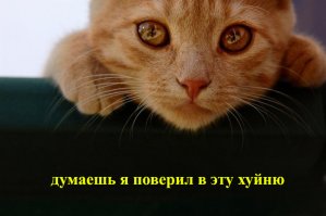 Cупруги после ДНК-теста узнали, что они близнецы