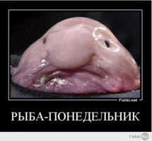 Самые необычные вещи, о которых мы читали в журнале National Geographic