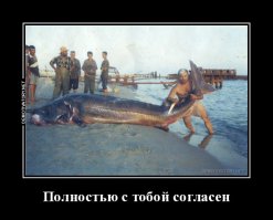 "Арапаима является самой большой пресноводной рыбой в мире."
===========