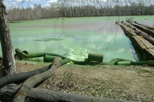 Вот настоящие п"дорасы,а не какие-то там "браконьеры с сетями".