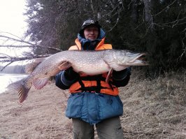 г. Кингисепп Ленинградская область