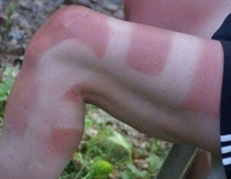 Эти люди сильно облажались прошлым летом. Не повторяйте их ошибки!