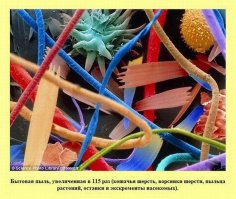 Что то засомневался насчёт пыли.Увеличенная в 22 млн. раз молекулы и атомы должны быть видны;) Осетра урезать надо бы,и точно,нашёл,в сотню раз только
